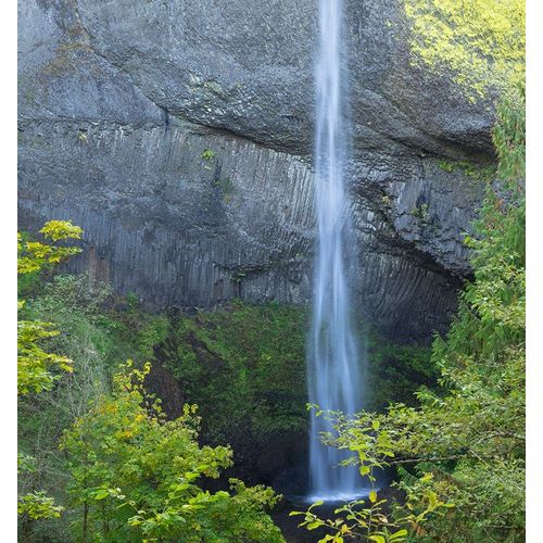 OR-Columbia River Gorge National Scenic Area-Latourell Falls